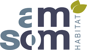 Amsom